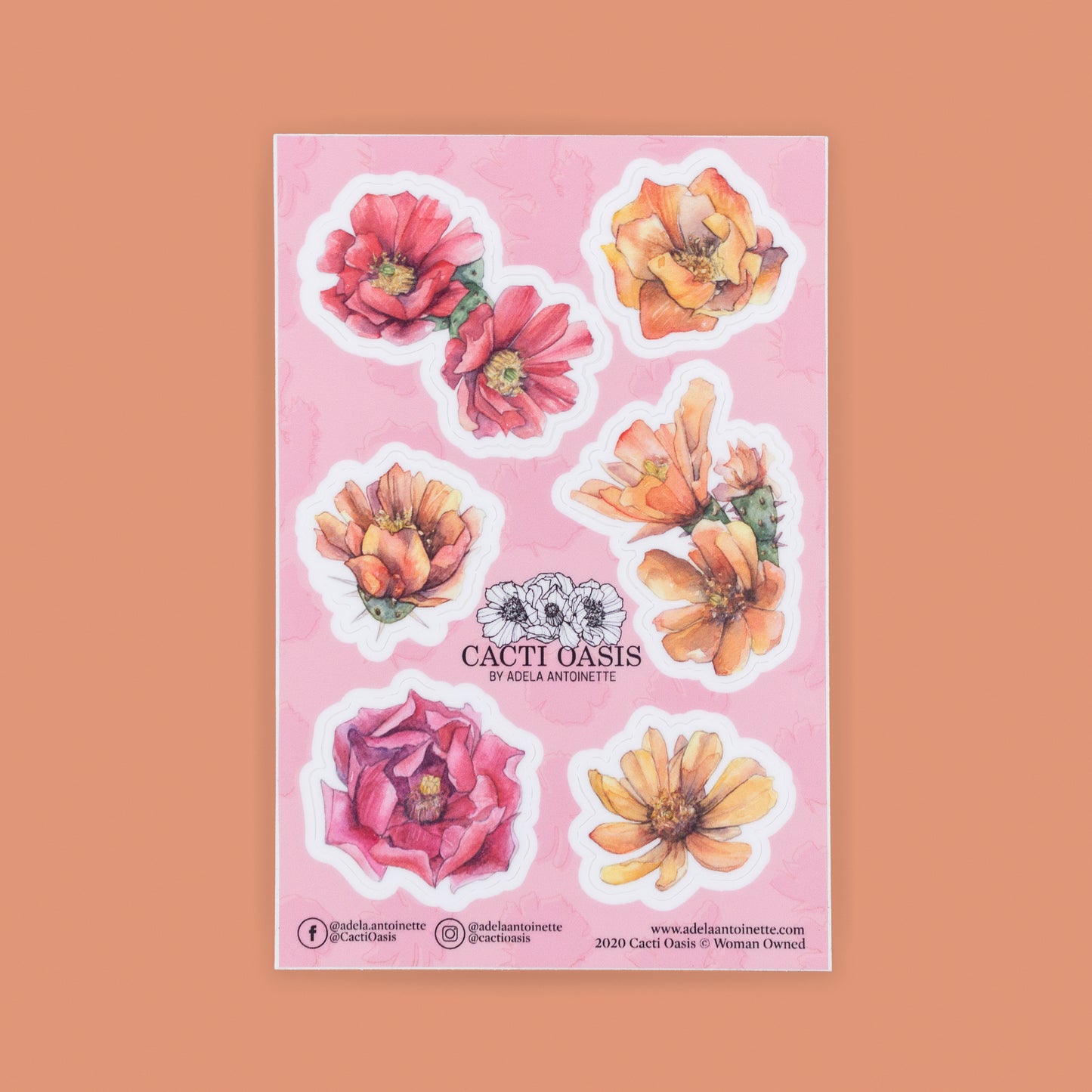 Clearance - Cholla Blossom Sticker Sheet (Old Design)
