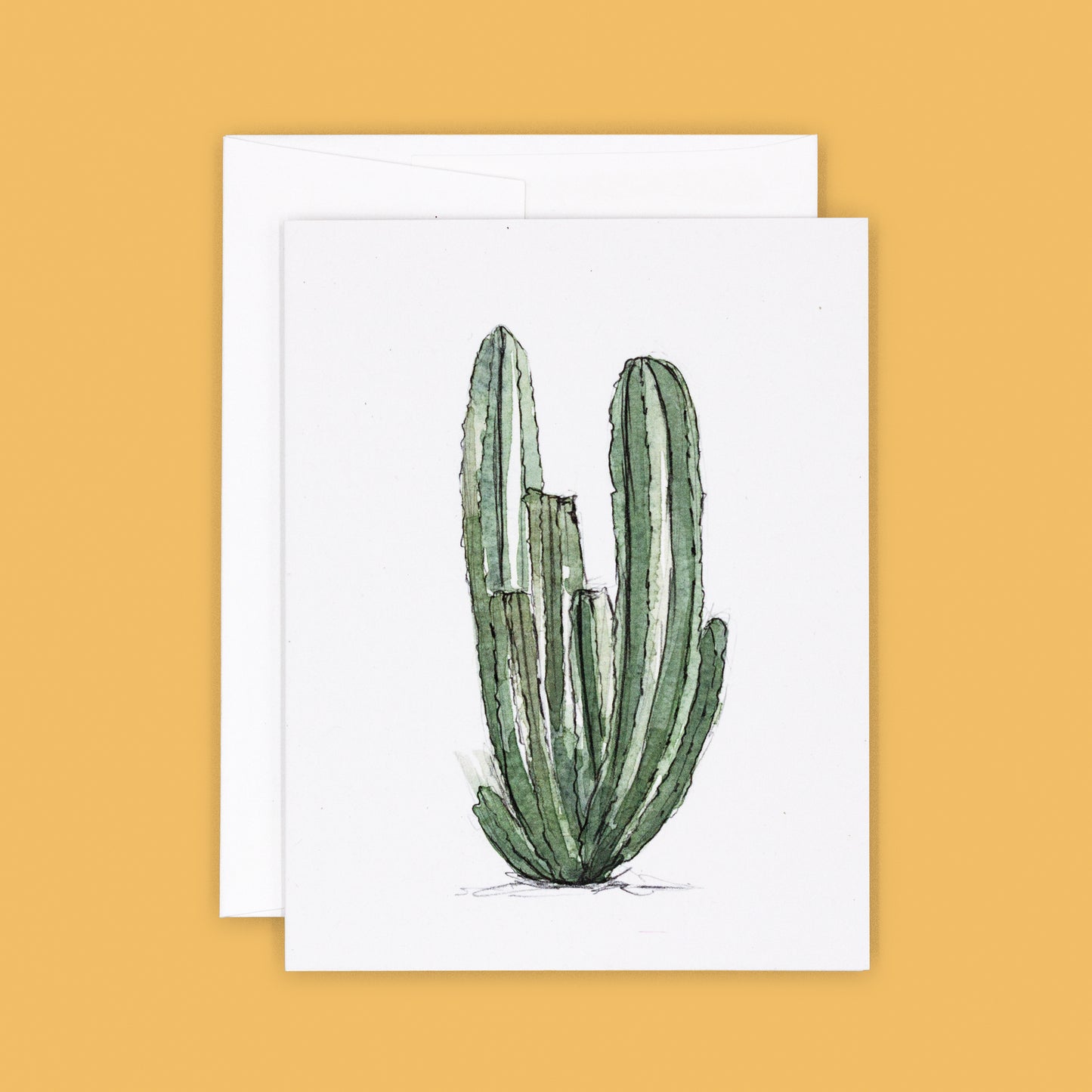 Card Sets | Cactus Greeting Cards - Organ Pipe