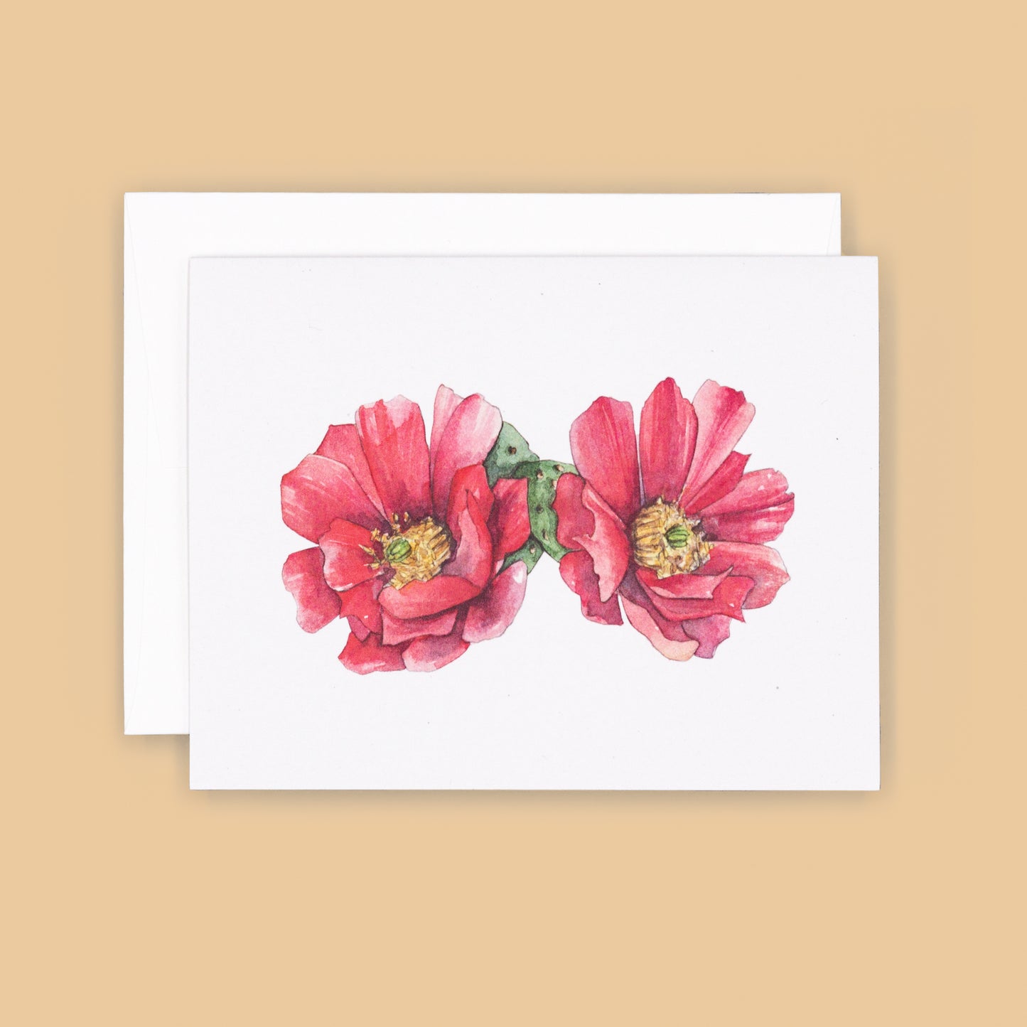 Card Sets | Cholla Blossom Greeting Cards -Red Duo