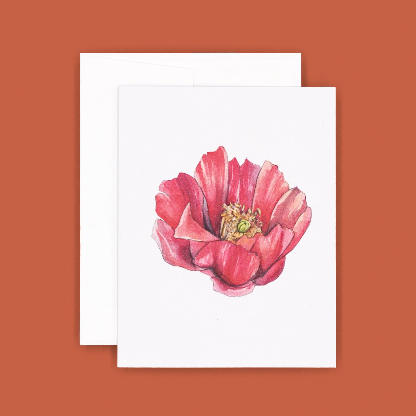 Cholla Blossom Greeting Card | All Six Cards