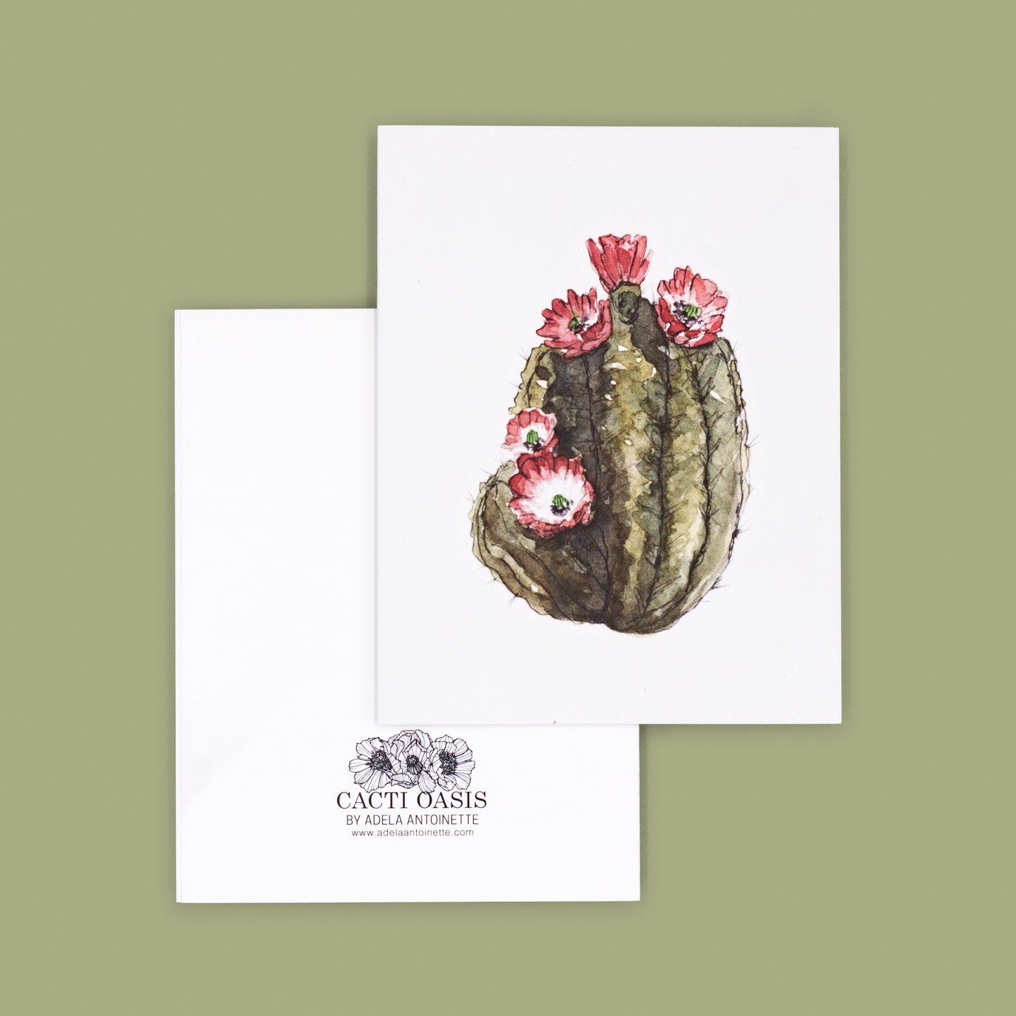 Card Sets | Claret Hedgehog Greeting Cards - Hedgehog Cactus