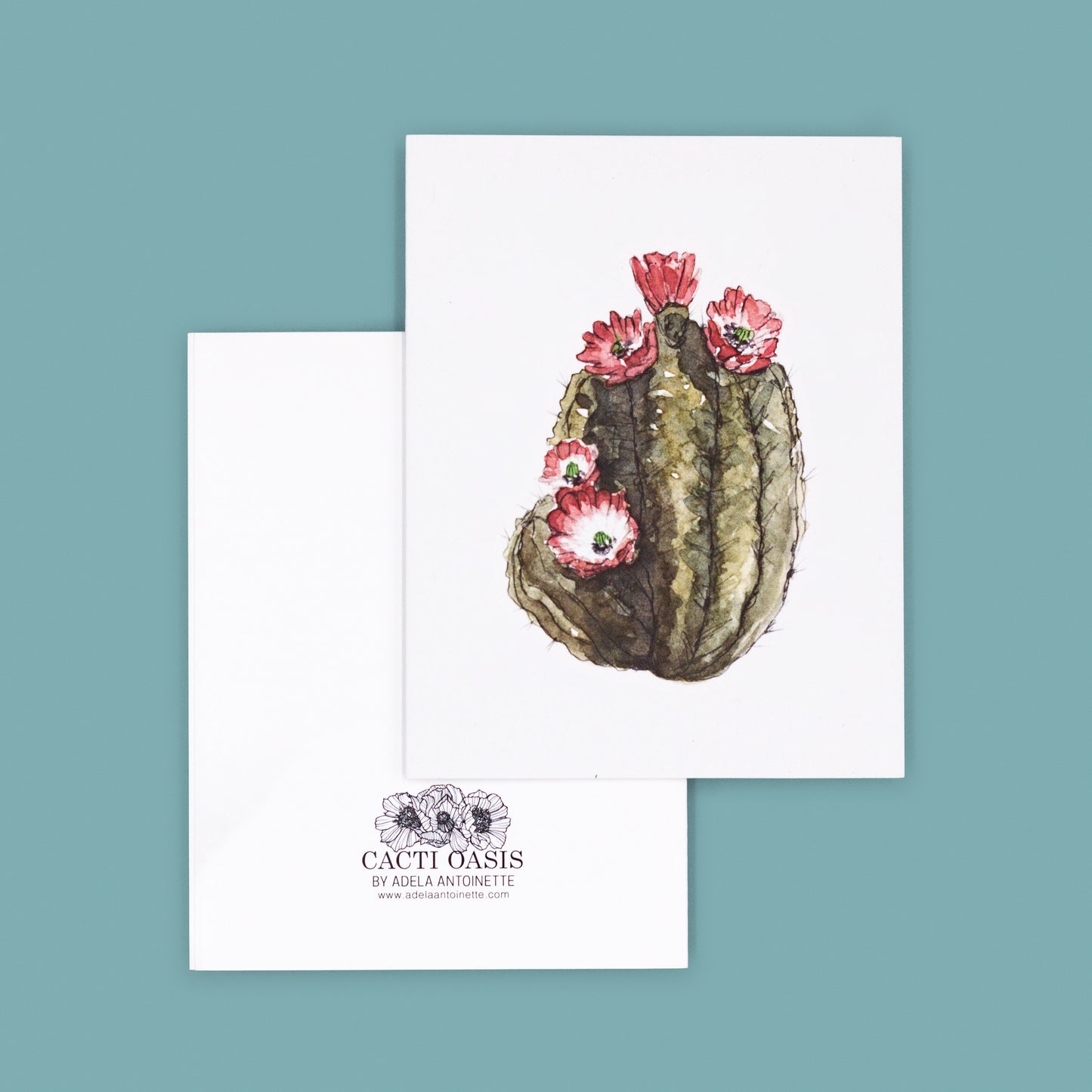 Claret Hedgehog Cactus | Claret Hedgehog Greeting Card