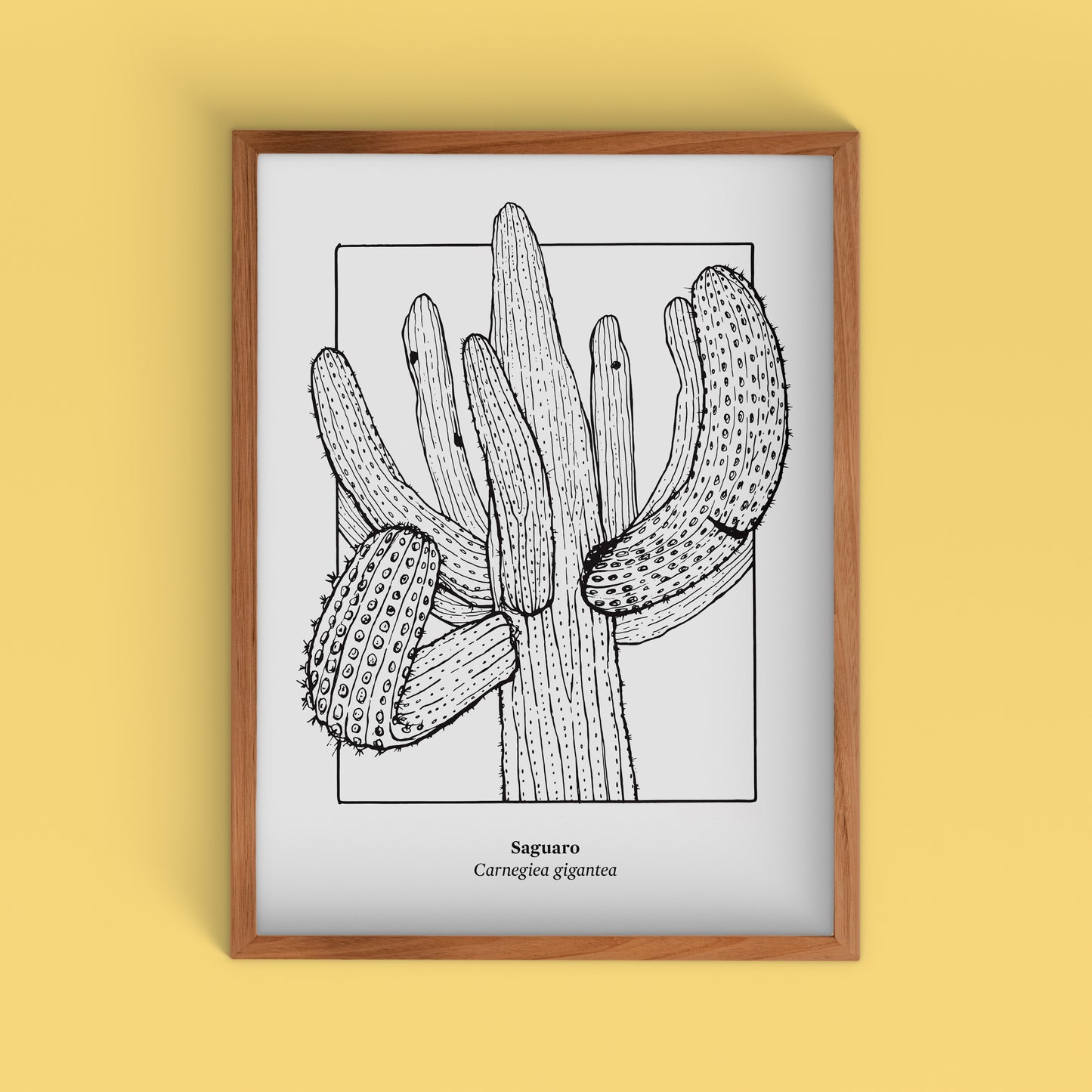 Saguaro Screen Print | Limited Edition | 22" x 30"
