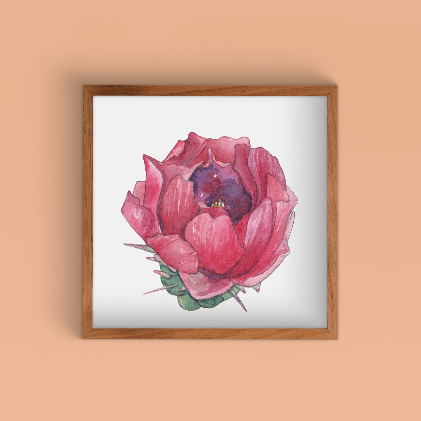 Staghorn Pink & Purple II Watercolor Art Print