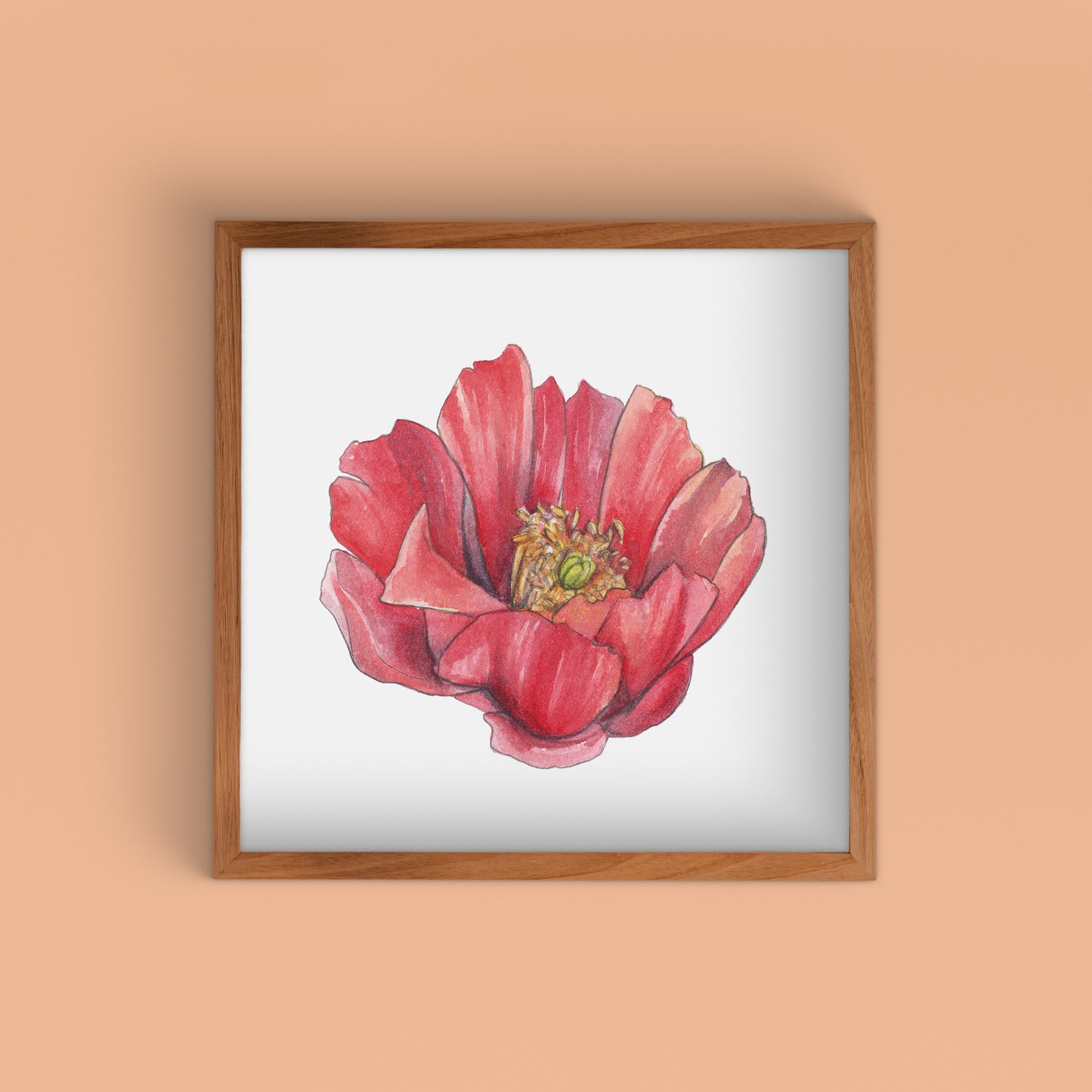 Staghorn Cholla Red I Watercolor Art Print