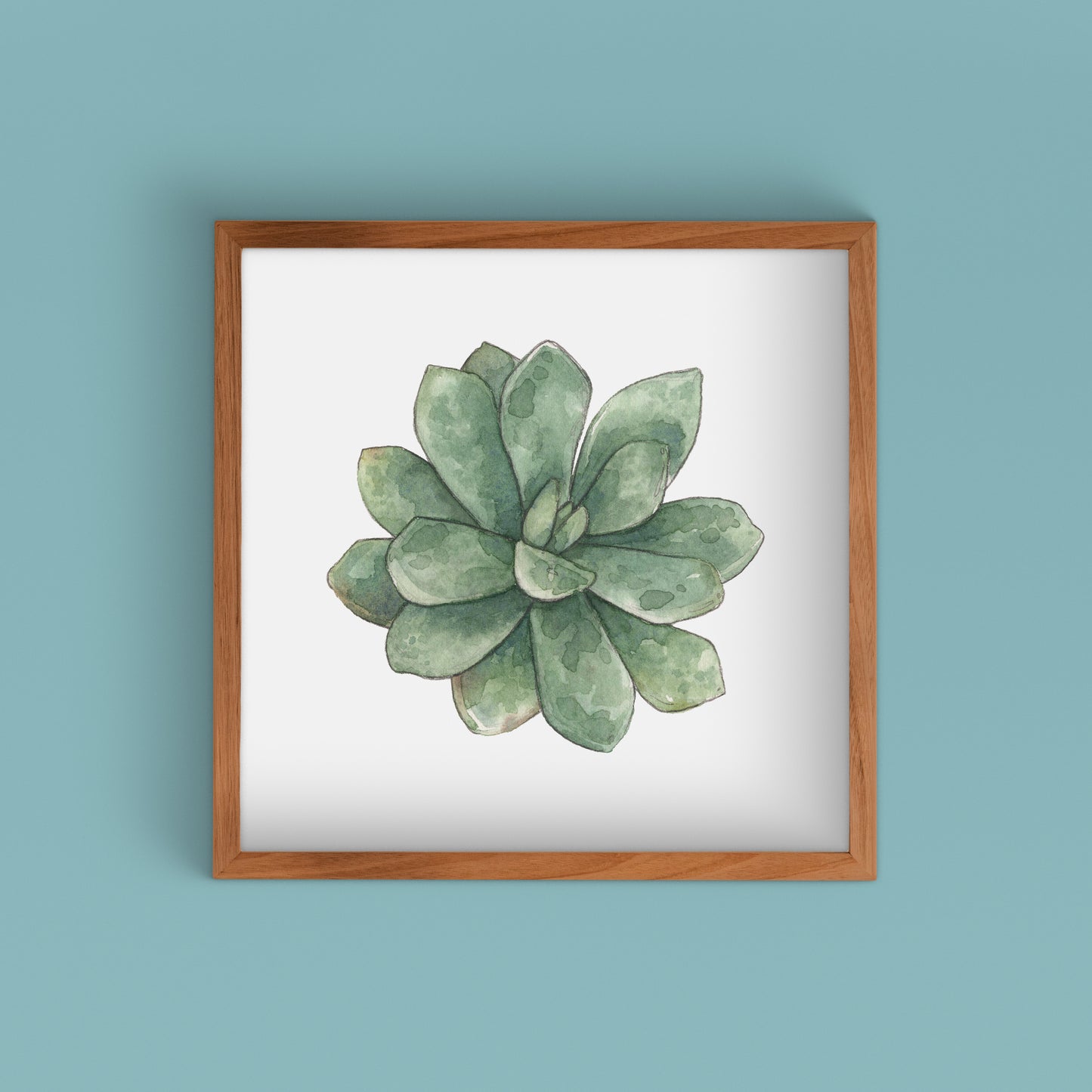 Succulent Watercolor Art Prints | Succulent II