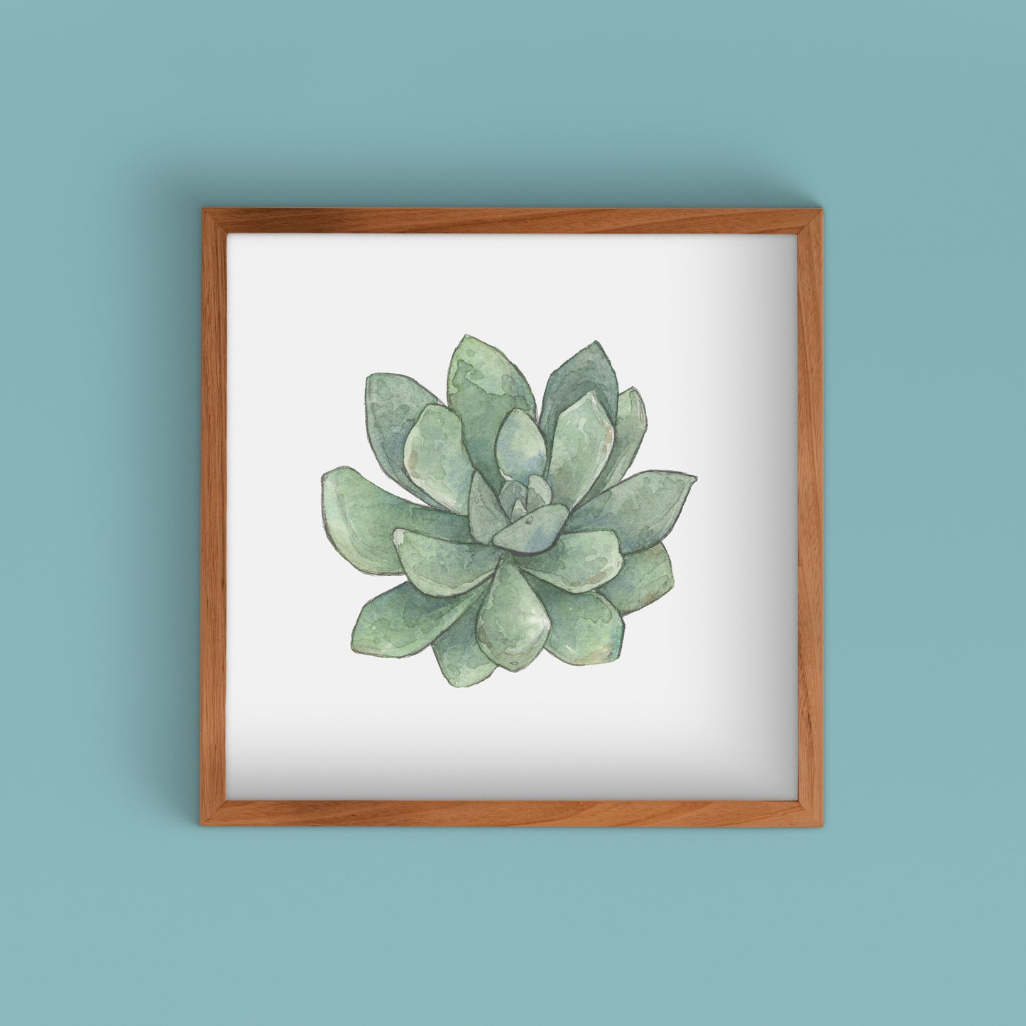 Succulent Watercolor Art Prints | Succulent I