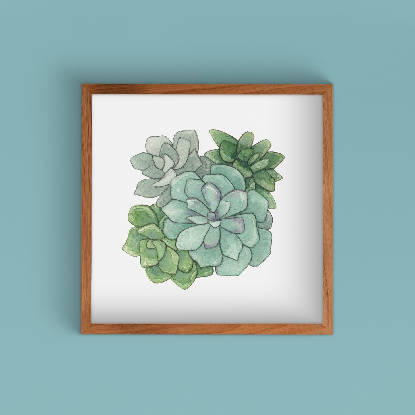 Succulent Watercolor Art Prints | Succulents II