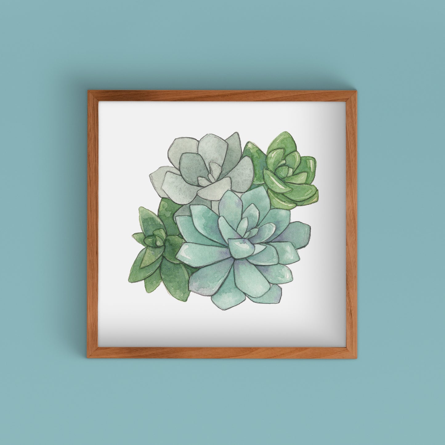 Succulent Watercolor Art Prints | Succulents I