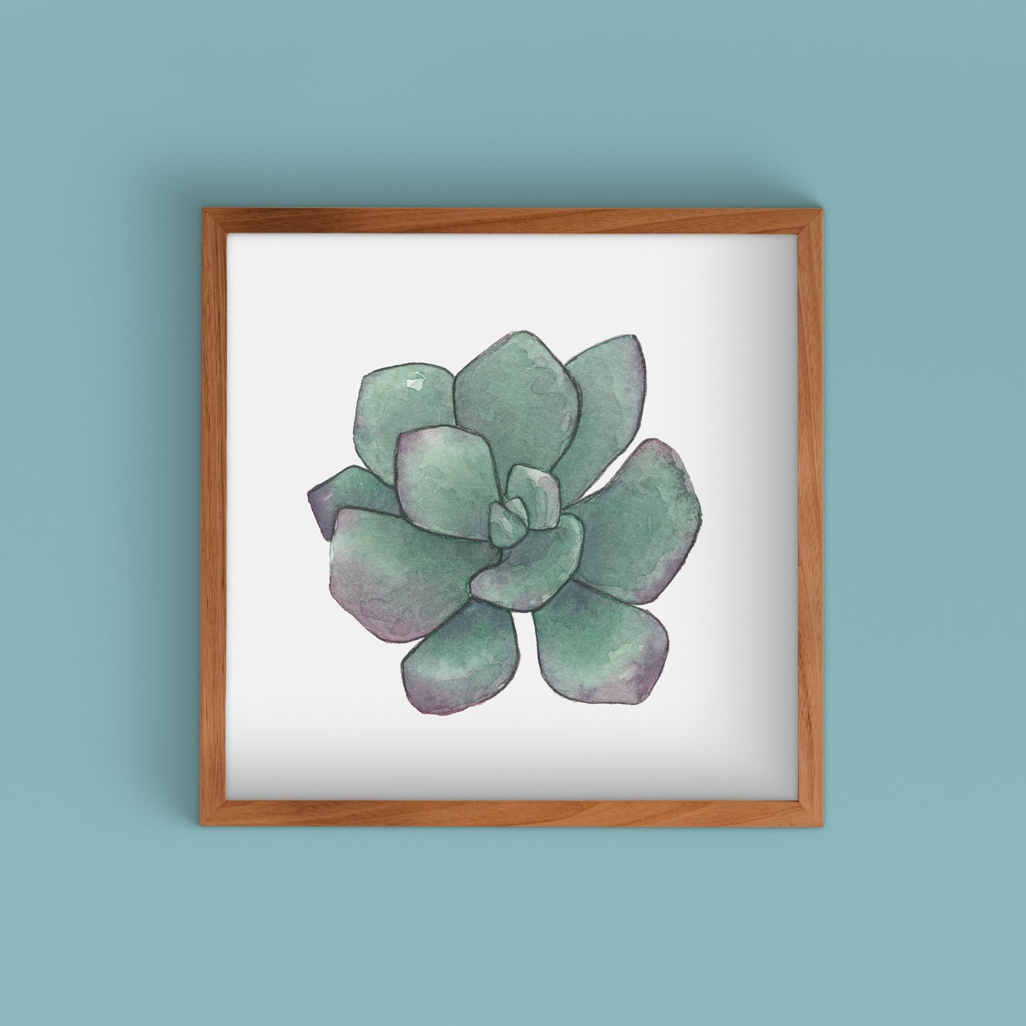 Succulent Watercolor Art Prints | Succulent III