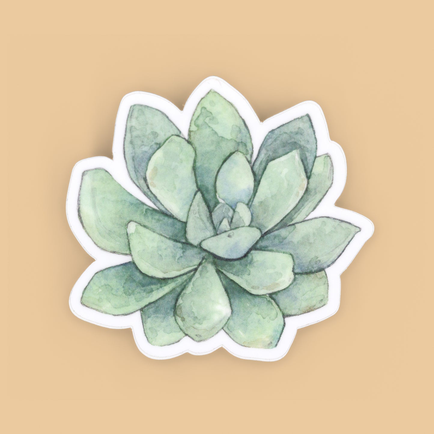 Succulent Sticker Vinyl Sticker