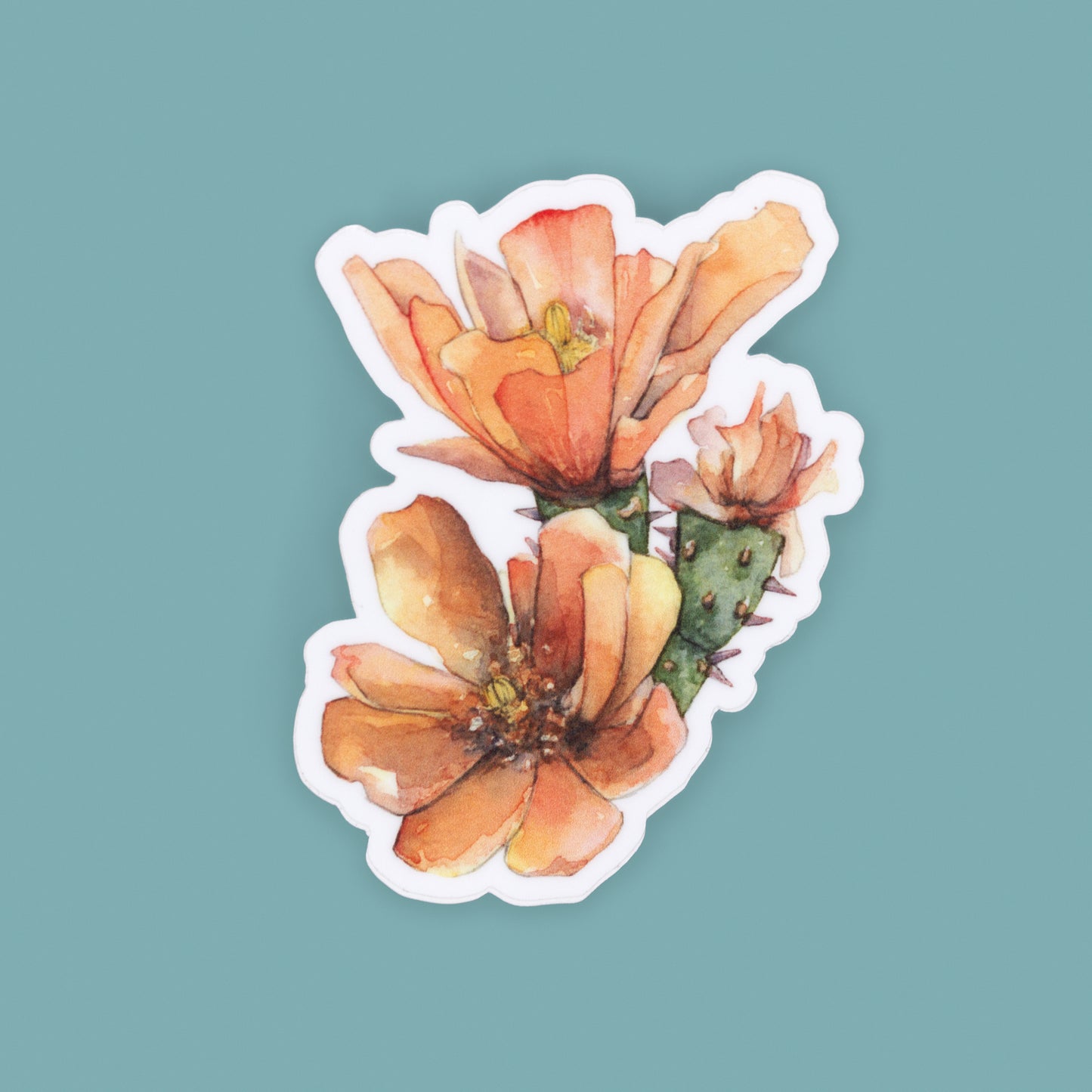 Cholla Duo Blossom Vinyl Sticker
