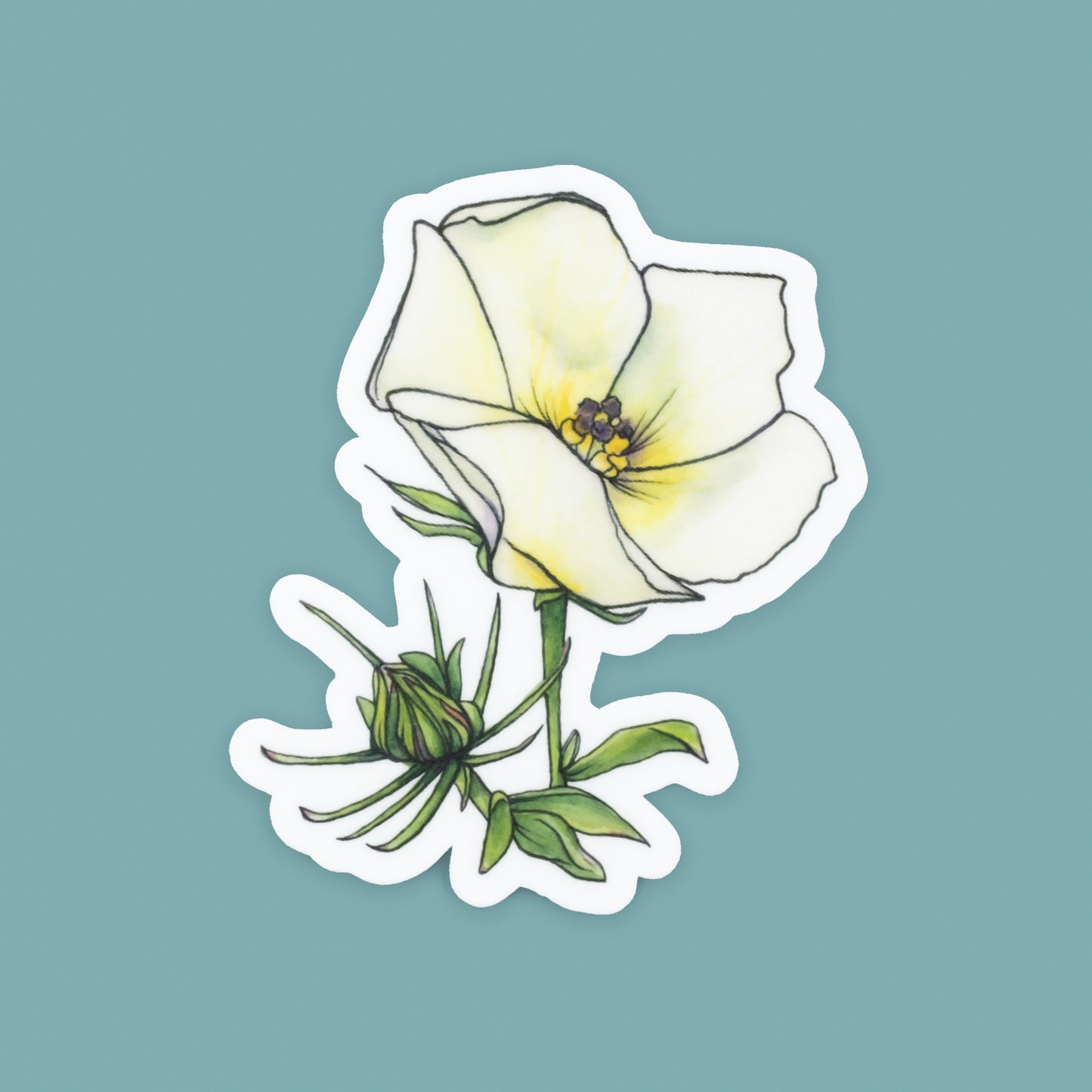 NEW! Desert Rosemallow Vinyl Die-cut Sticker