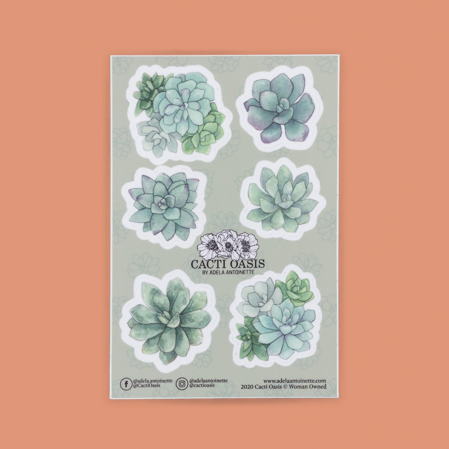 Clearance - Succulent Vinyl Sticker Sheet (Old Design)