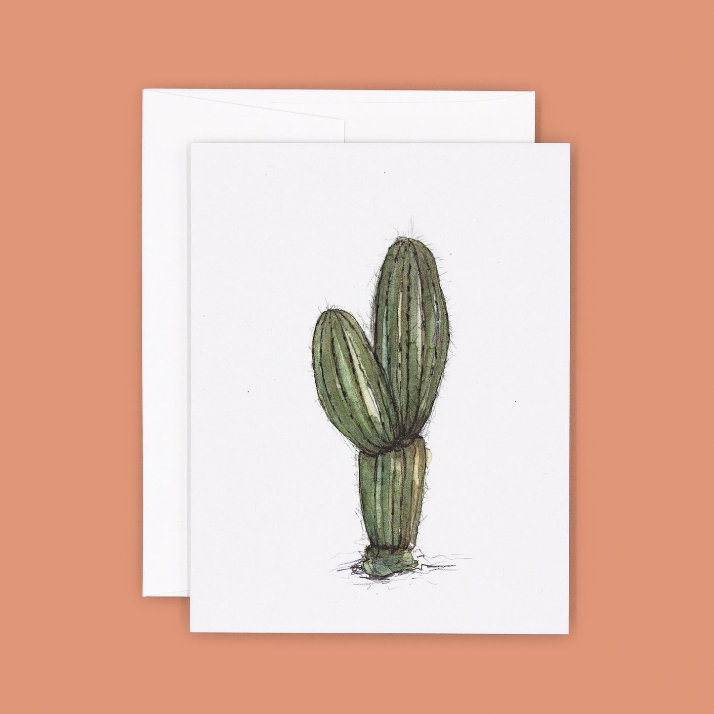 Cactus Greeting Cards - All Four