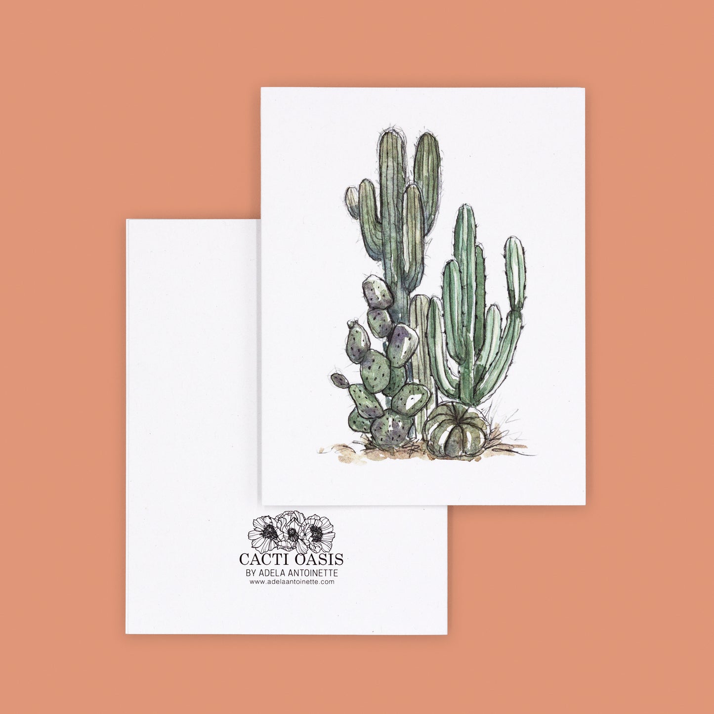Cactus Greeting Cards - All Four