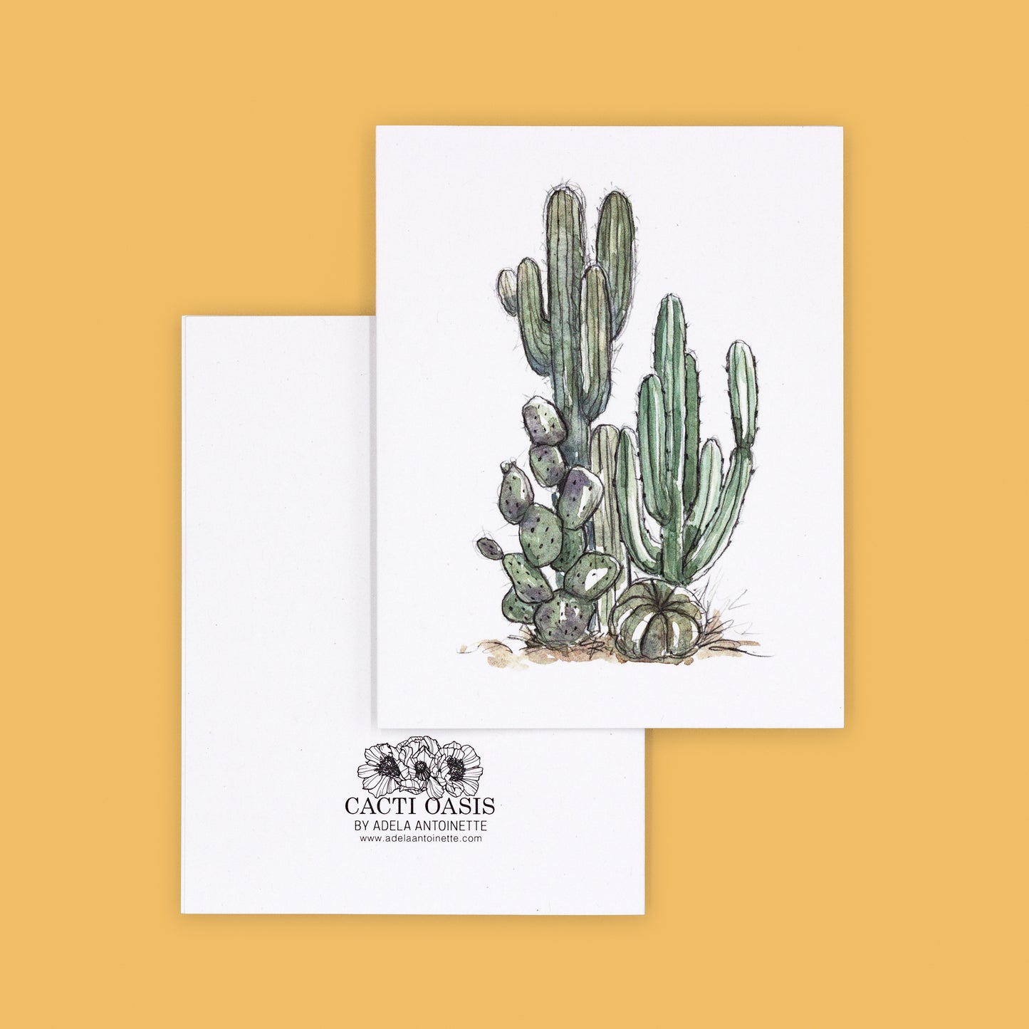 Card Sets | Cactus Greeting Cards - Armory Park Collection