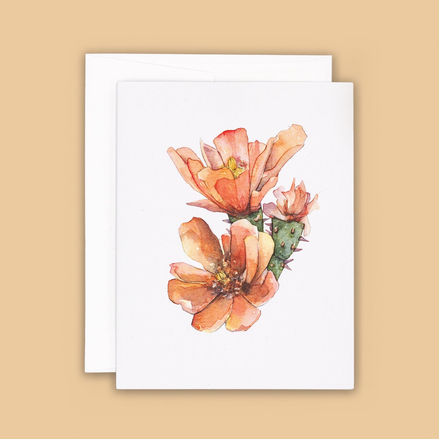 Card Sets | Cholla Blossom Greeting Cards - Orange Duo