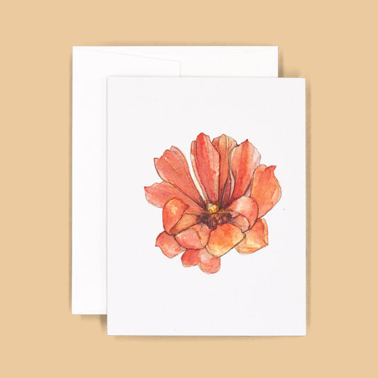 Card Sets | Cholla Blossom Greeting Cards - Orange