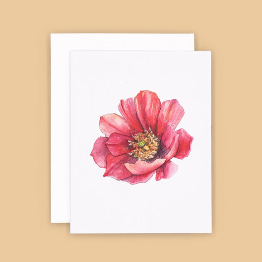 Card Sets | Cholla Blossom Greeting Cards - Red Facing Left