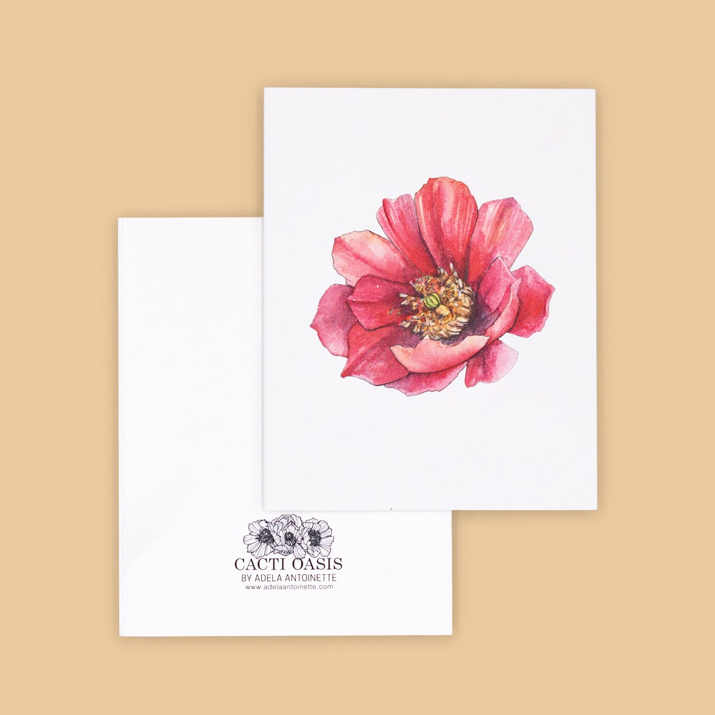 Card Sets | Cholla Blossom Greeting Cards - Red Facing Left