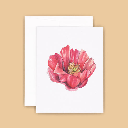 Card Sets | Cholla Blossom Greeting Cards - Facing Right