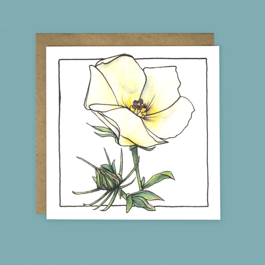 Desert Rosemallow | Desert Bloom Greeting Card