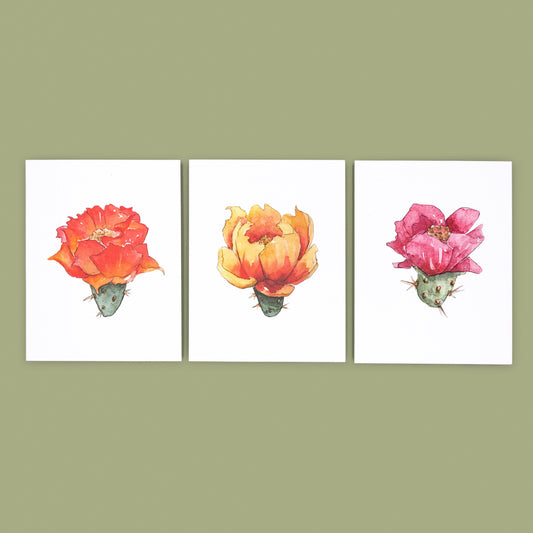All Three Cards | Prickly Pear Cactus Floral Greeting Cards