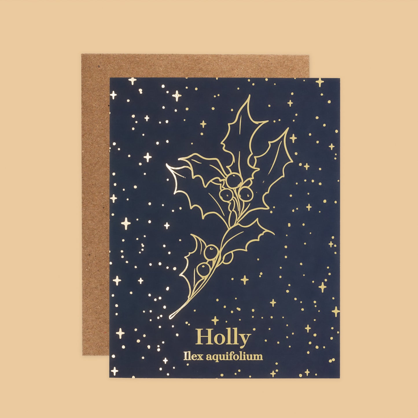 Holiday Greeting Card Set  of 8 | Holly Holiday