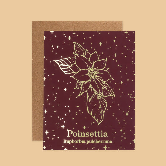 Holiday Greeting Card Set of 8 | Poinsettia Holiday