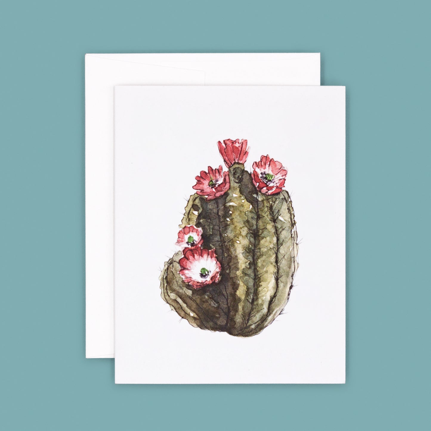 Claret Hedgehog Cactus | Claret Hedgehog Greeting Card