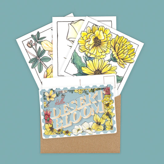 Desert Bloom Summer/Fall Penpal Collection