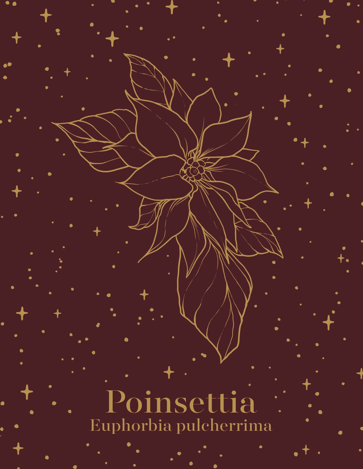 Poinsettia Holiday | Holiday Greeting Card