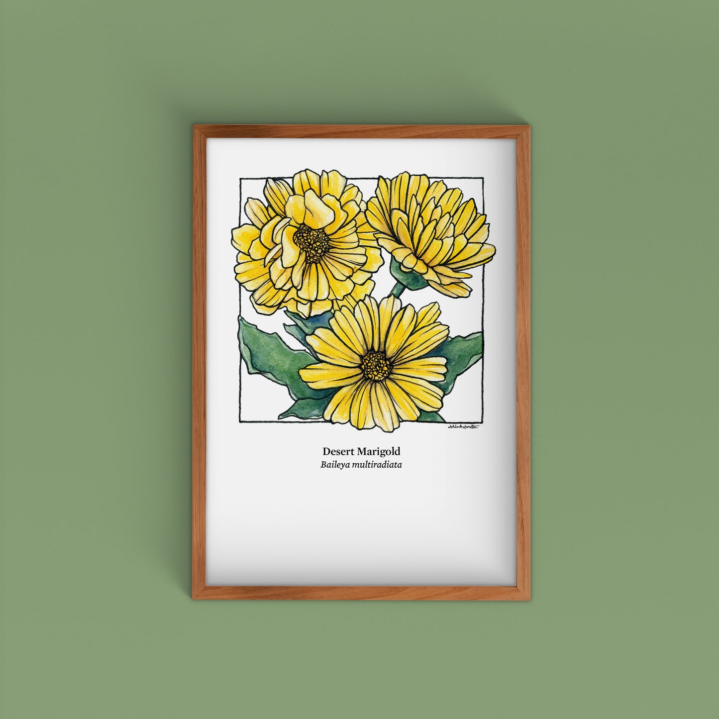 Desert Bloom Archival Prints | Twelve Designs - Limited Edition | 5" x 7"