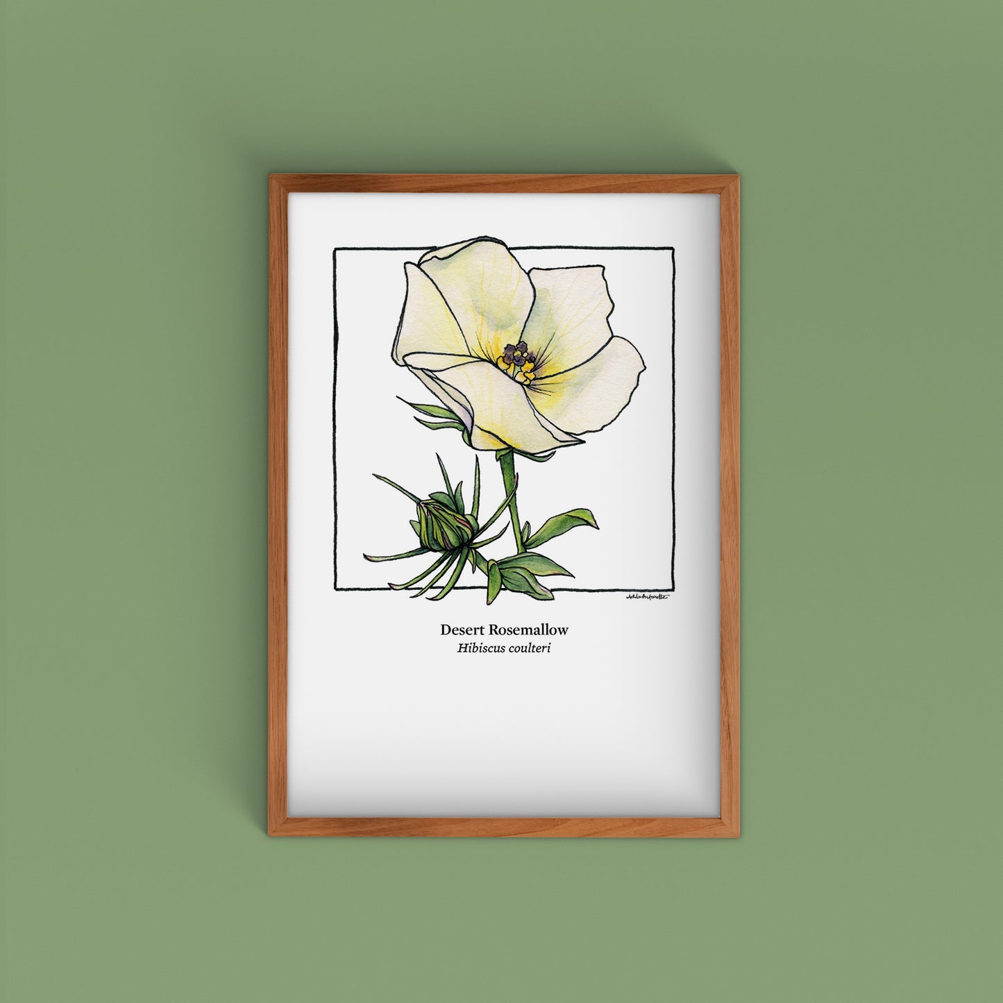 Desert Bloom Archival Prints | Twelve Designs - Limited Edition | 5" x 7"