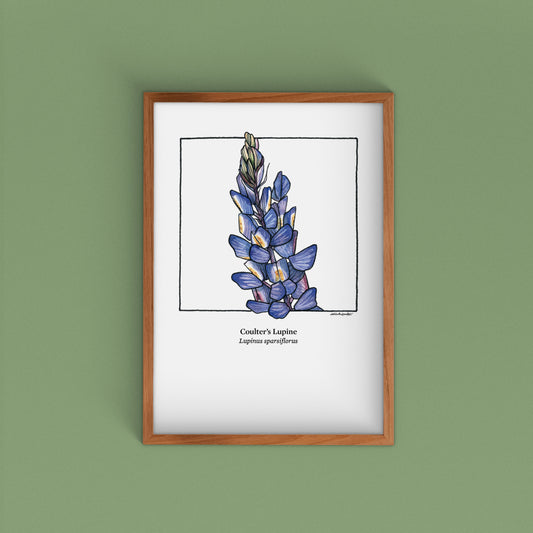Desert Bloom Archival Prints | Twelve Designs - Limited Edition | 5" x 7"