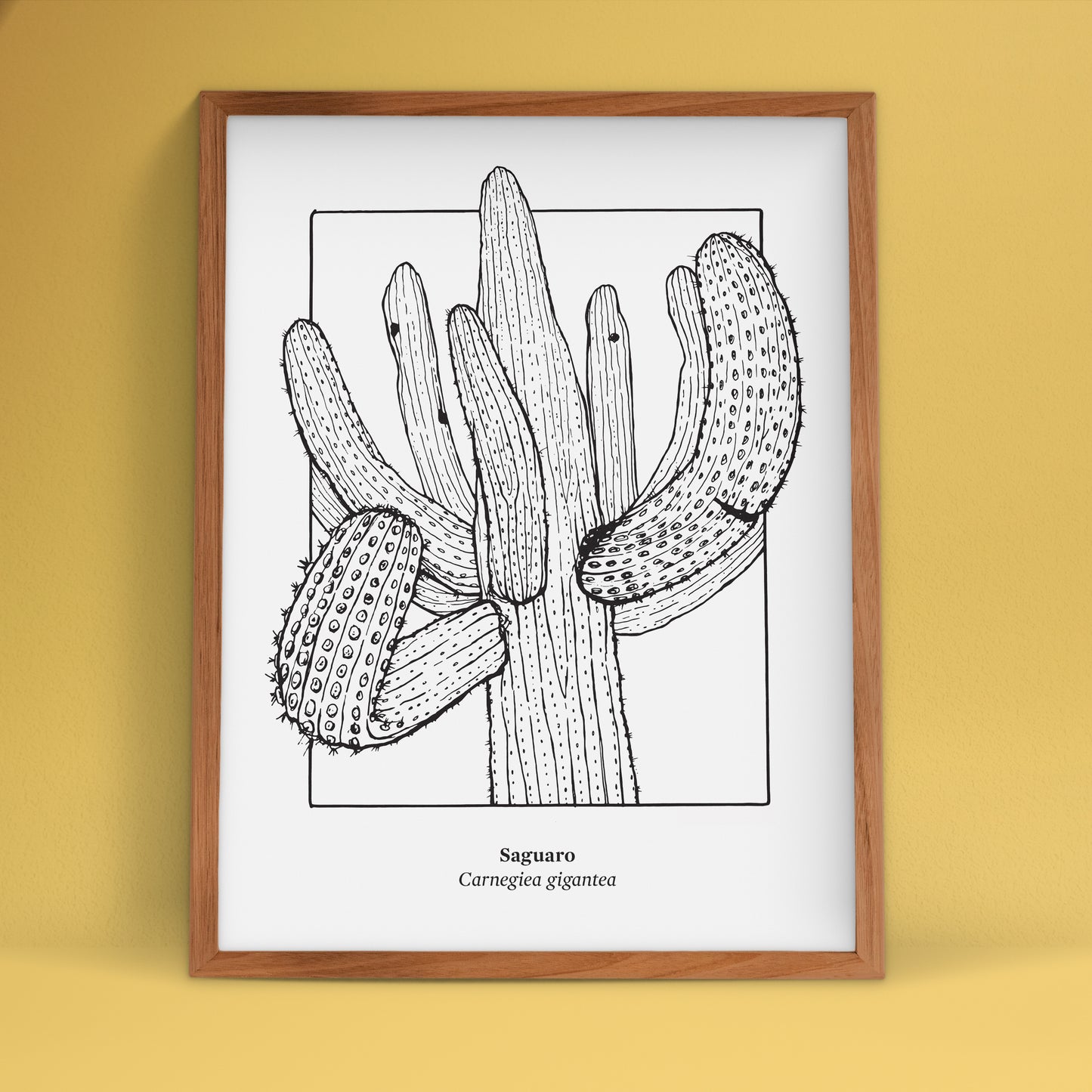 Saguaro Screen Print | Limited Edition | 22" x 30"