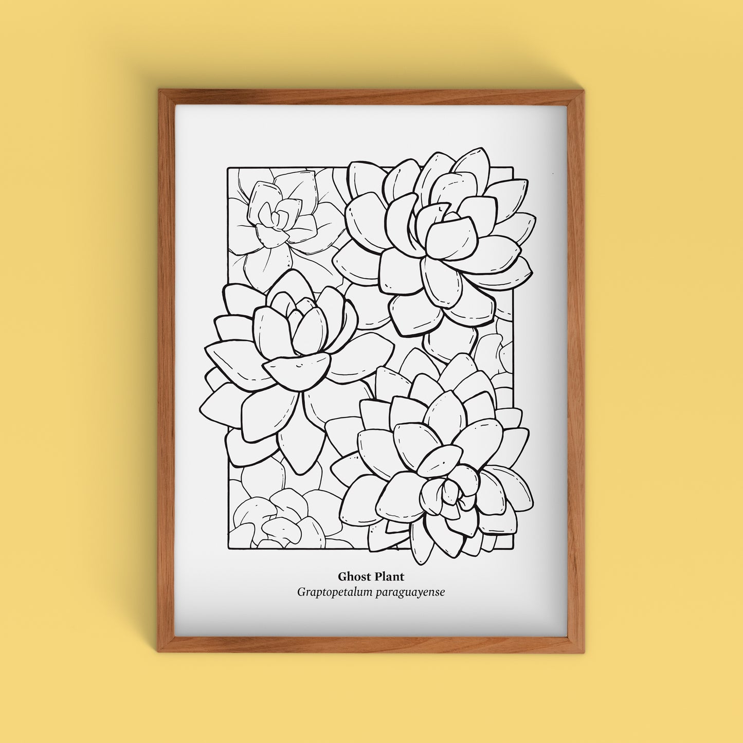 Succulent Screen Print | Limited Edition | 22" x 30"