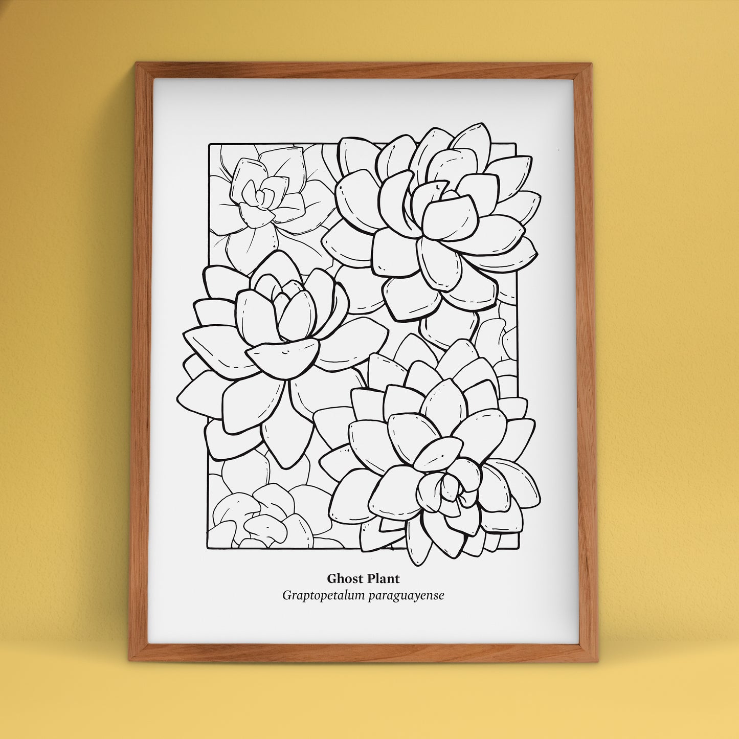 Succulent Screen Print | Limited Edition | 22" x 30"