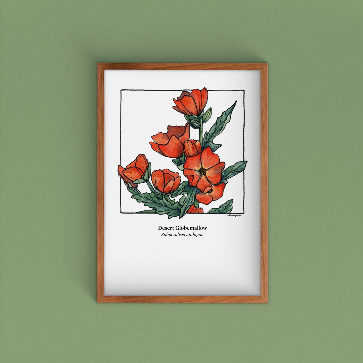 Desert Bloom Archival Prints | Twelve Designs - Limited Edition | 5" x 7"