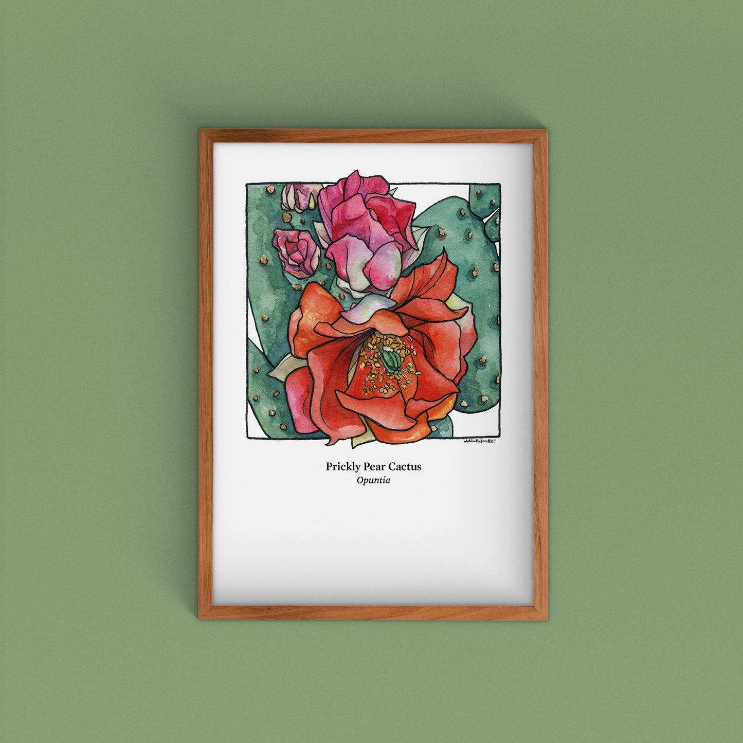 Desert Bloom Archival Prints | Twelve Designs - Limited Edition | 5" x 7"