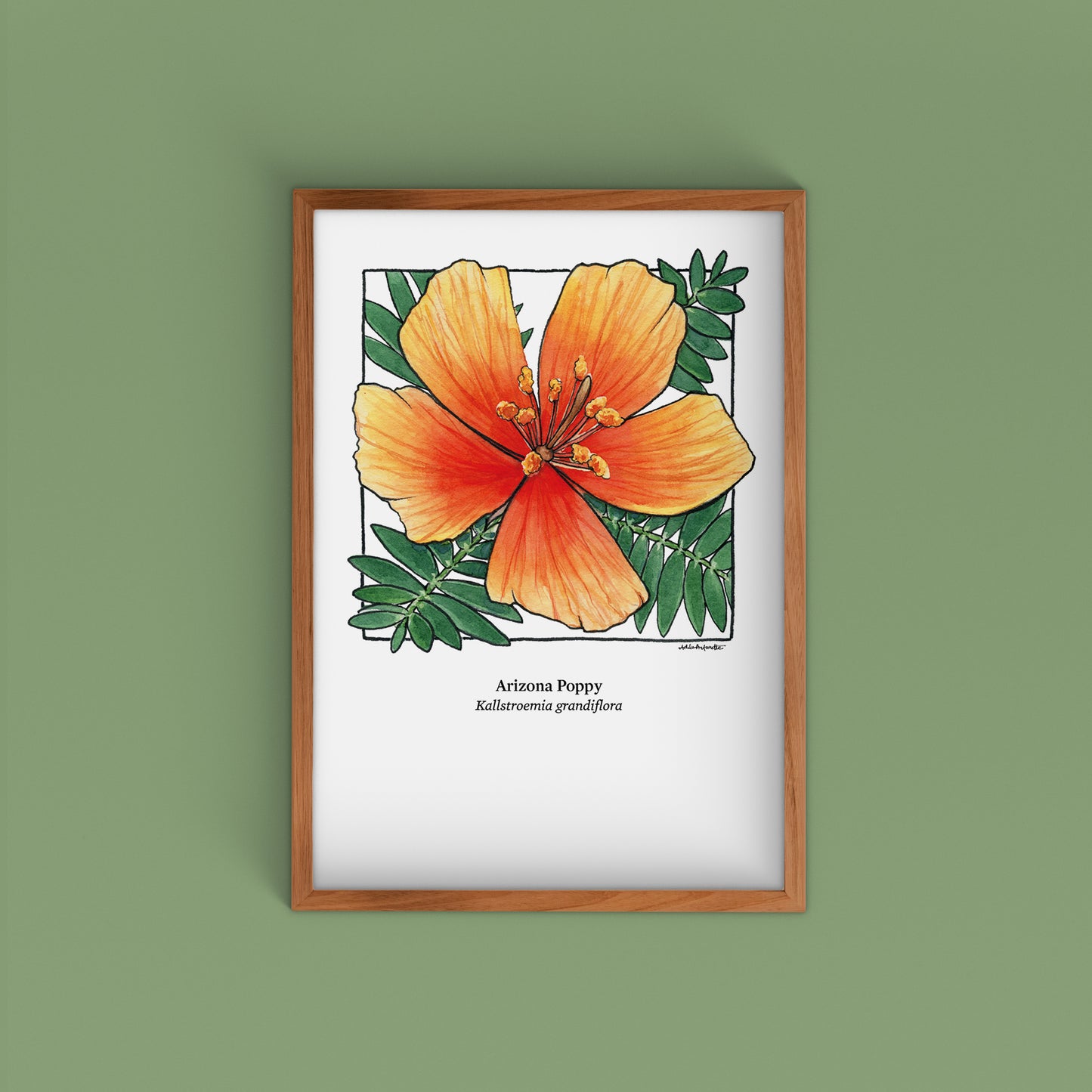 Desert Bloom Archival Prints | Twelve Designs - Limited Edition | 5" x 7"