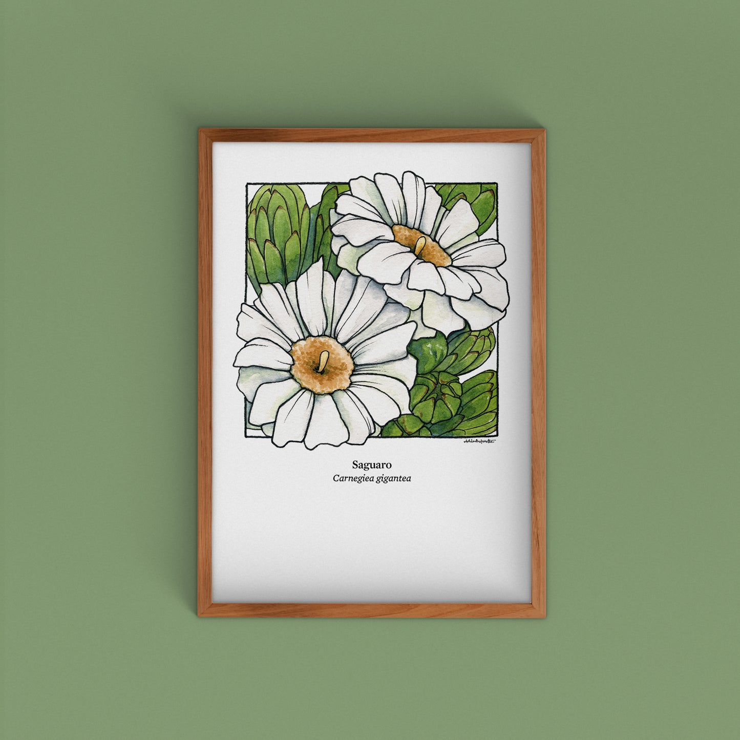 Desert Bloom Archival Prints | Twelve Designs - Limited Edition | 5" x 7"