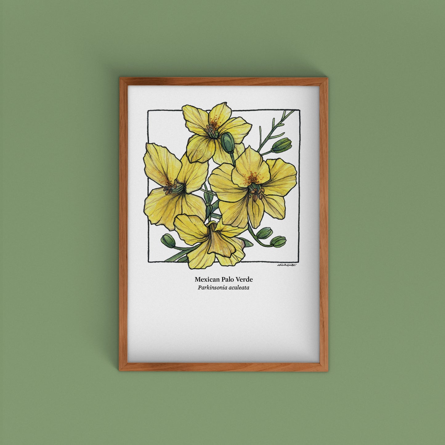 Desert Bloom Archival Prints | Twelve Designs - Limited Edition | 5" x 7"