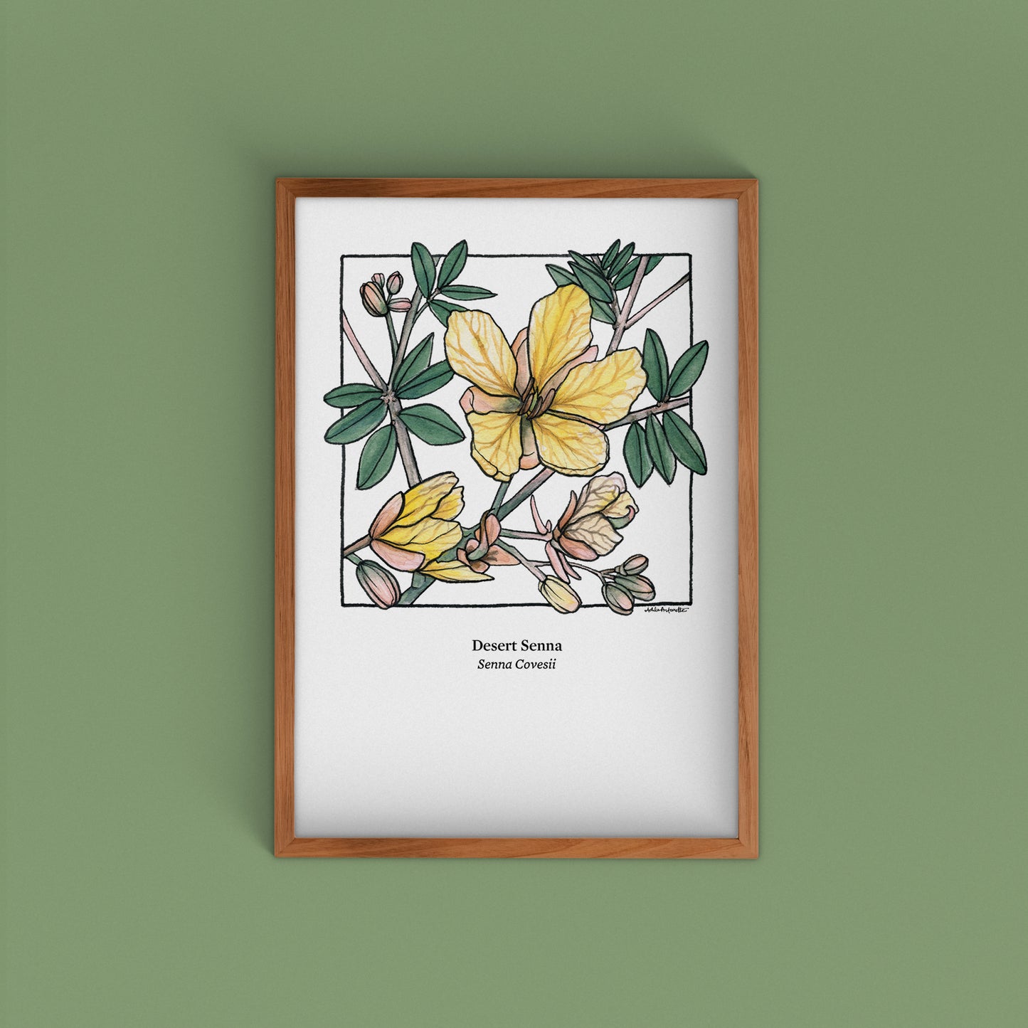 Desert Bloom Archival Prints | Twelve Designs - Limited Edition | 5" x 7"