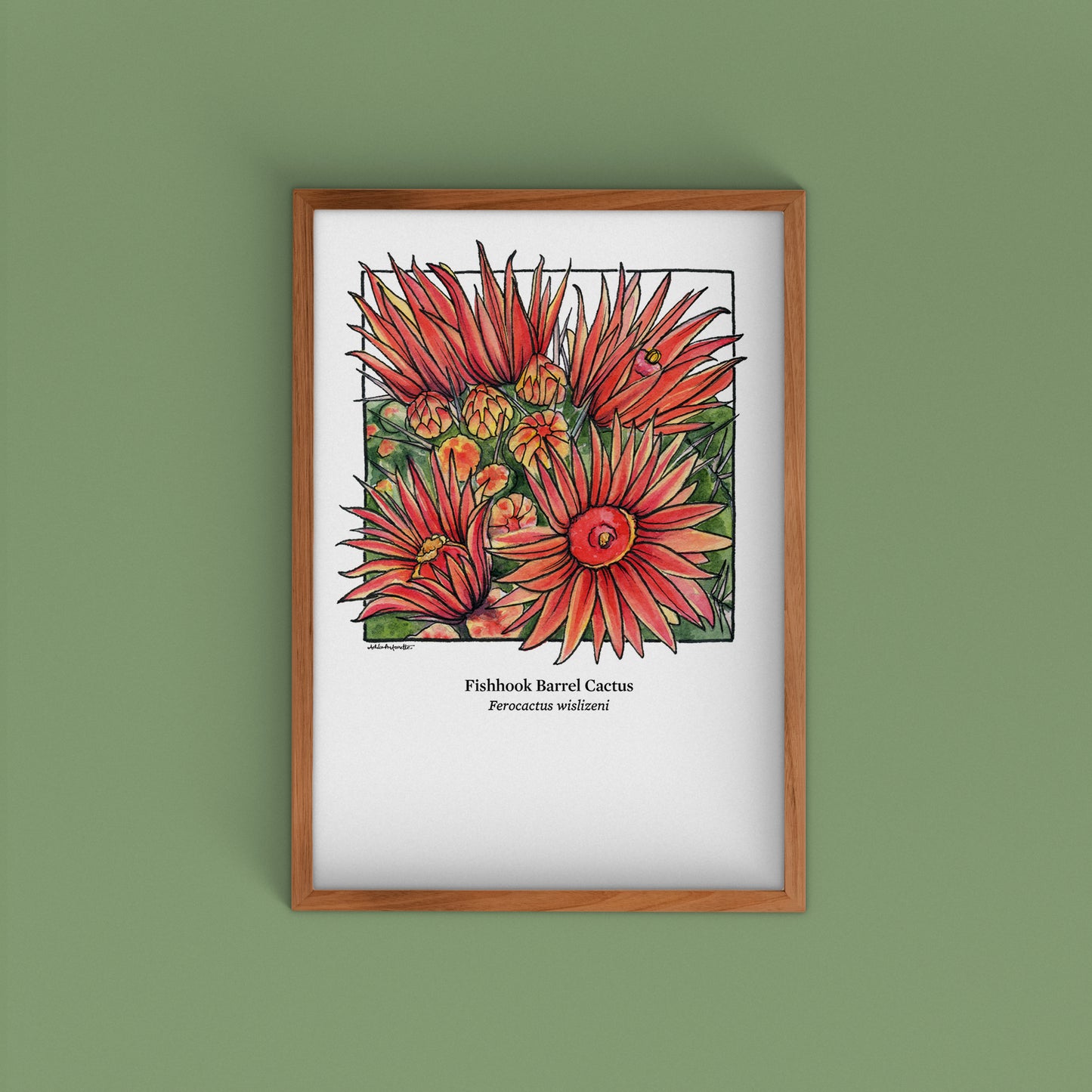 Desert Bloom Archival Prints | Twelve Designs - Limited Edition | 5" x 7"