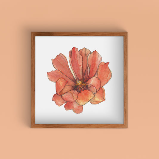 Cholla Blossom Orange Art Print