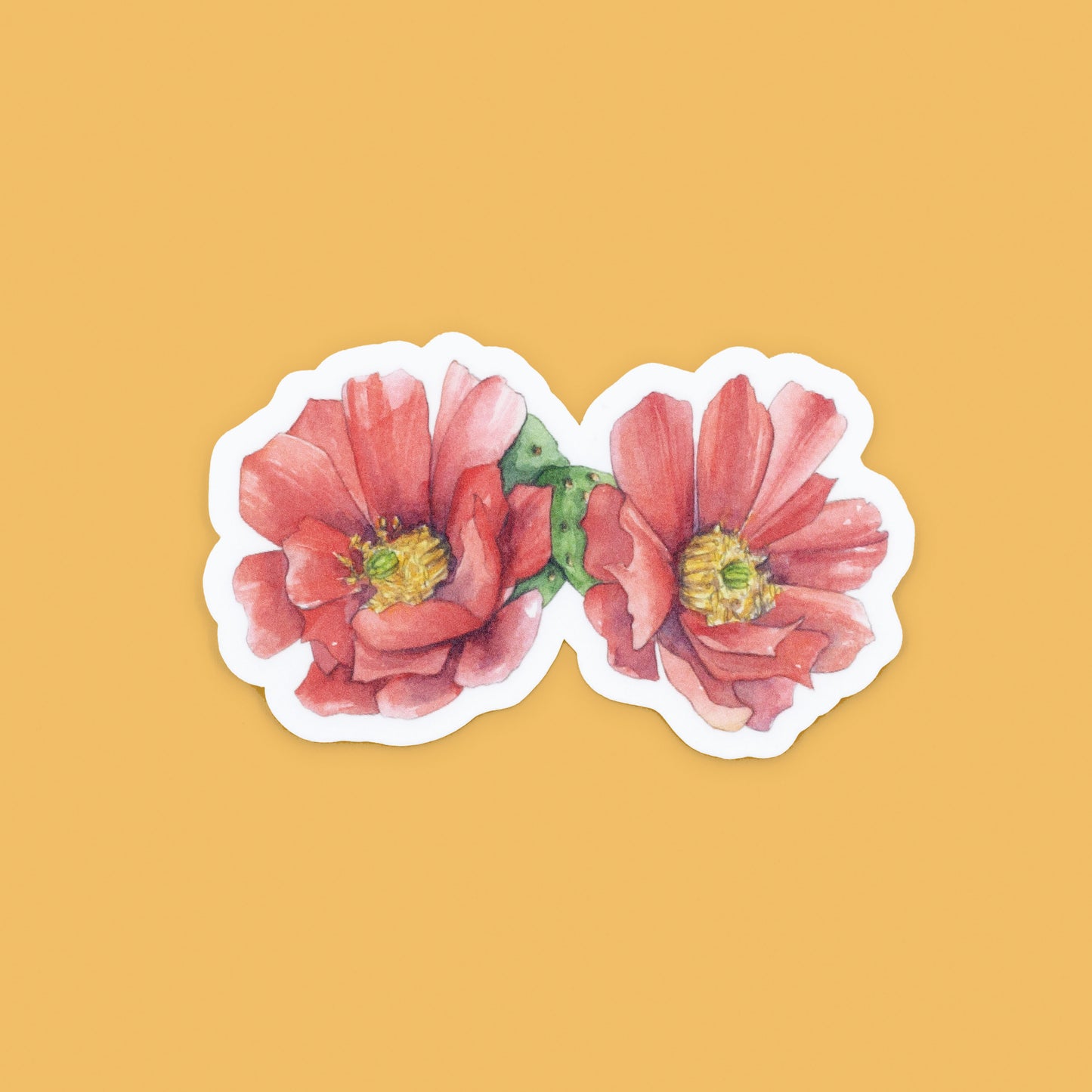 NEW! Duo Red Cholla Blossom Vinyl Sticker