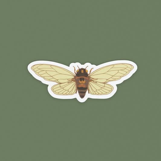 Cicada Vinyl Sticker