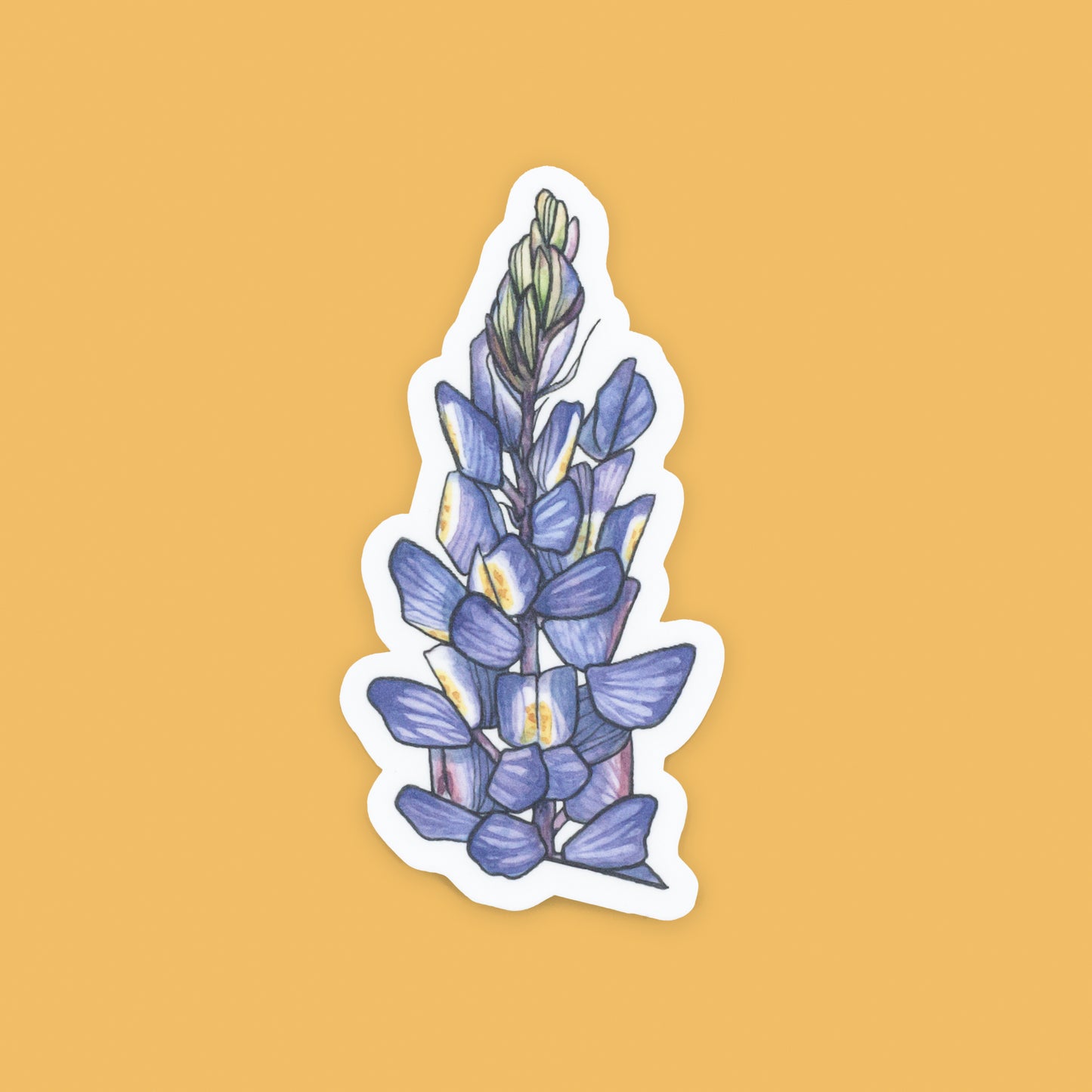 NEW! Desert Lupin Vinyl Die-cut Sticker